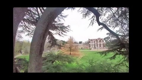 Tinyhawk 2 insta360 go London fpv taranis qx7 aomway commander v1 flowstate