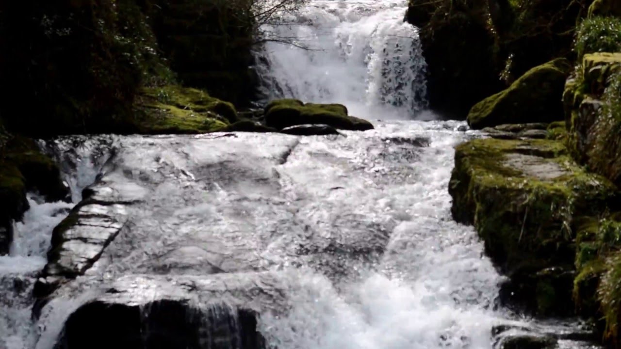 Hoar Oak Water above the East Lyn at Watersmeet
