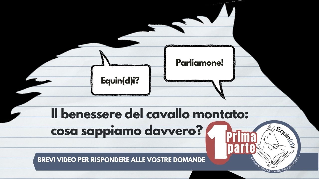 Benessere del cavallo montato: cosa sappiamo? - Parte 1 - Equin(d)i?