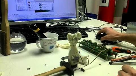 2012-02-09_Darwin Hand picking up objects