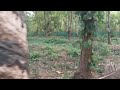 സെൻറ് ഒന്നിന് അറുപതിനായിരം രൂപ വെച്ച് 80 സെൻറ് പറമ്പായി സ്ഥലം വിൽപ്പനക്ക്#realestate