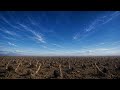 Небо и земля (Сиротинин) [The Sky and the Earth (Sirotinin)] (Suno AI)