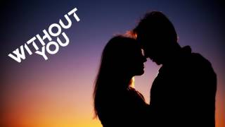 AVICII - Without You (Instrumental Remix)