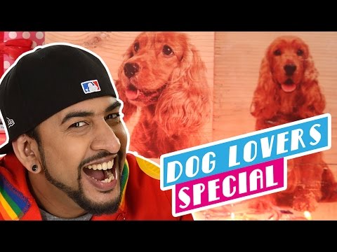 Video: Als je denkt dat je weet waarom honden Belly-Up rollen, ben je waarschijnlijk fout