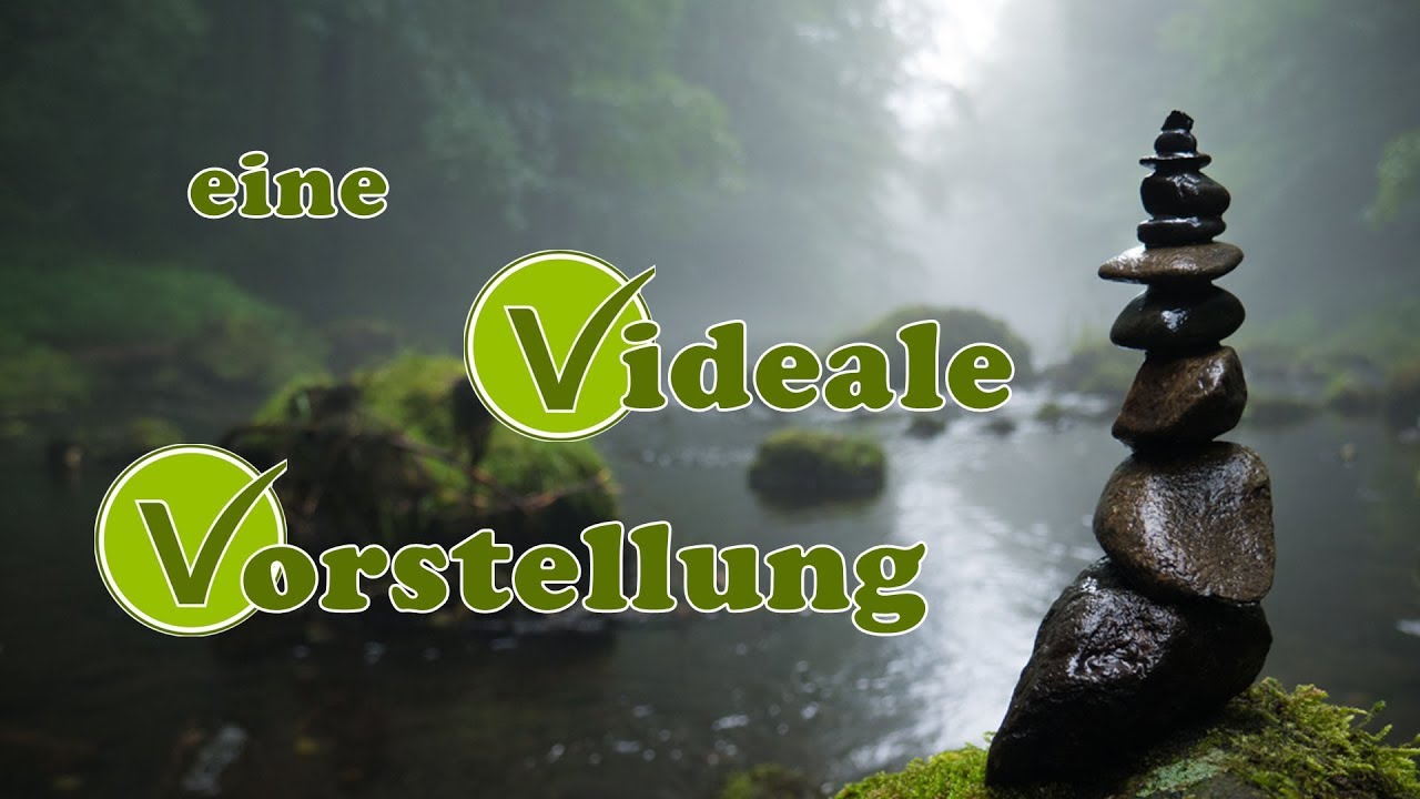 V-Partei, eine Videale Vorstellung