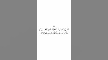 صلاة التراويح ليلة ٧ رمضان ١٤٤٥هـ سورة النساء الآية ١٢٥ الشيخ الوليد الشمسان