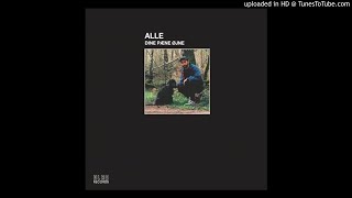 Alle - Og Synthesizer