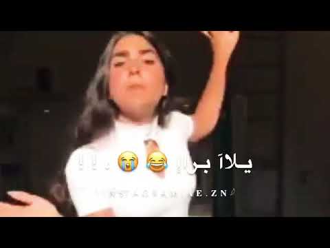 هلا والله على رخيصة كلب الجنيه