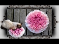 DIY 😻 Fummel Schnüffel Matte für Katzen & Hunde | snuffle mat for cats and dogs