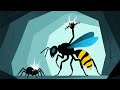 What Happens If You Get Stung by the World’s Most Painful Insect?