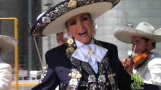 Video thumbnail of "Cielito Lindo  MASECA"