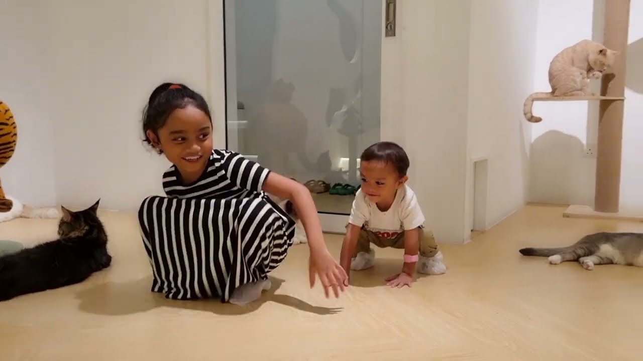 Masuk taman kucing😺!! Geramnya!!!!