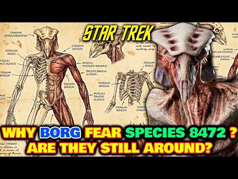 Species 8472 Origin + Anatomy - Why Everyone Fears Them Even The Borg? What Happened To Them In End?