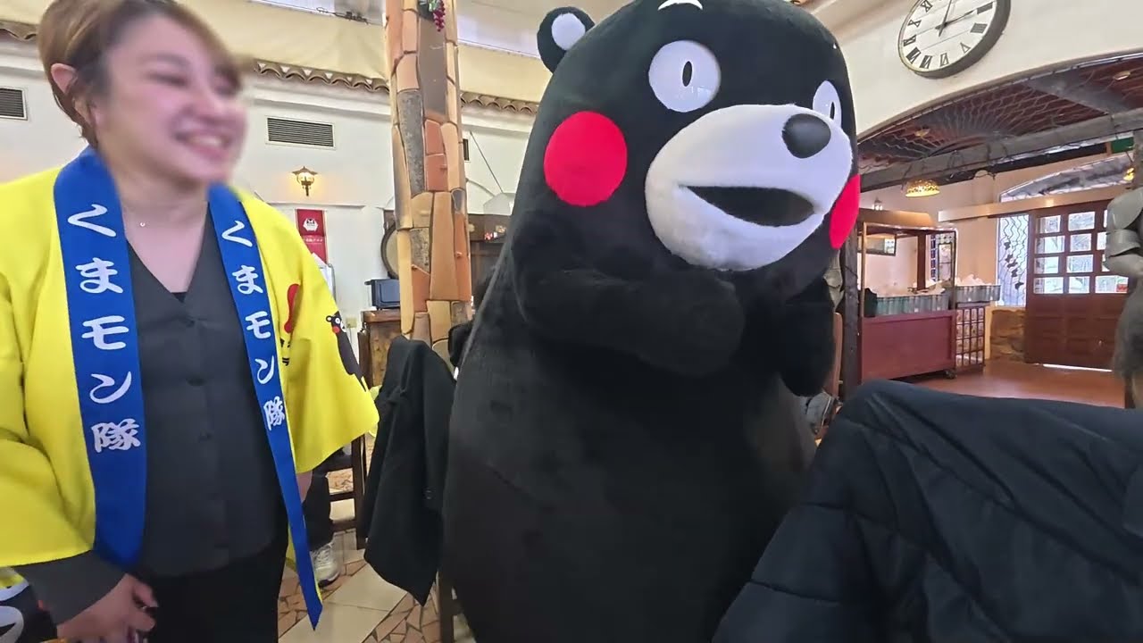 【くまモンランド公式バスツアー芦北・水俣】【福田農場和紅茶作り体験】くまモン！各テーブルを巡って茶葉をモミモミ♪参加者の皆さん真剣に和紅茶作り！！（DJI Osmo Action Pro5撮影）