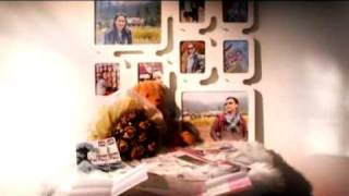 MV Edit 1 MPEG1 VCD PAL