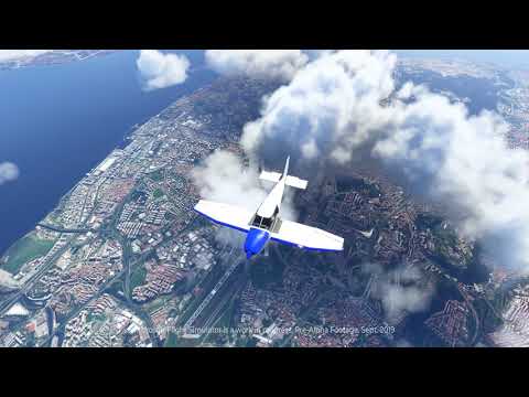 MICROSOFT FLIGHT SIMULATOR - PREVIEW