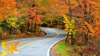 3,5 HRS Scenic Autumn Drive through Colorful Forests  5K Discovering NY State from a Car Window