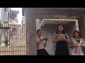 街拍桃苑新村/旅行者の訪れない街へ