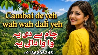 Pahari Song  | Chambai De Yeh Wah Wah Dali Yeh | Pahari Dukhi Geet | Channel Ko Subcribe Karin