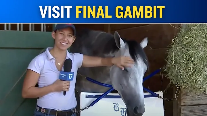 Visit Final Gambit at Kentucky Downs before the 2025 Nashville Derby (G2)