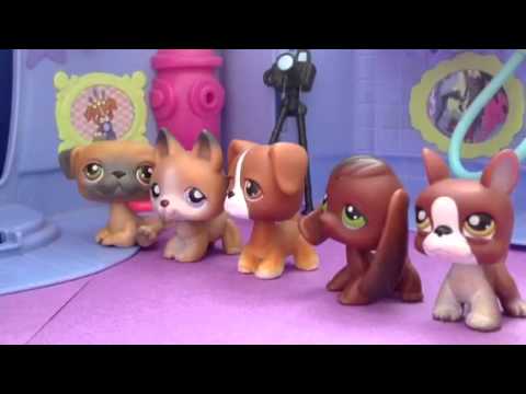 Lps April Fools Special