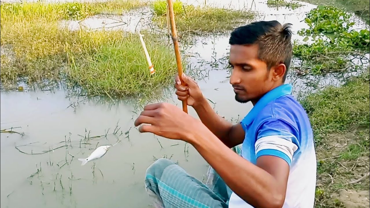 Hanif Fish বড়শি দিয়ে বিলের বড় বড় পুটিমাছ ধরা | Village Life With Hanif | Hook ...