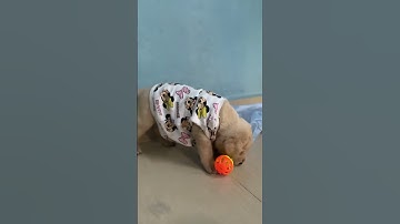 😁it’s playing time guys 🥰￼ #1millionsubscribers #funny #instagram #playinggames #gameplay