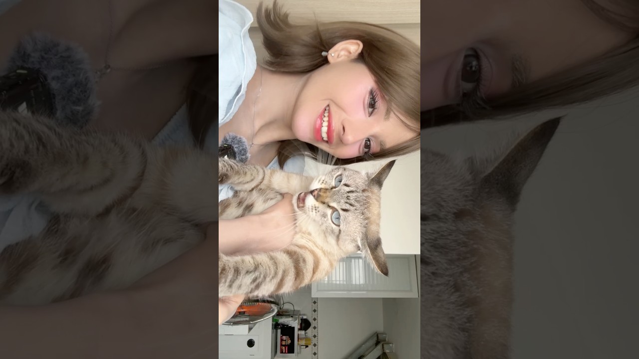 KRILOVEE’S CAT RAMESH😱 