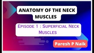3D Anatomy of Neck Muscles : Episode 1 :Superficial Muscles of Neck