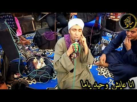 الشيخ محمد حماده حفله المنوفيه أنا عايش وحيد ياما تصوير م ميدو ناجي