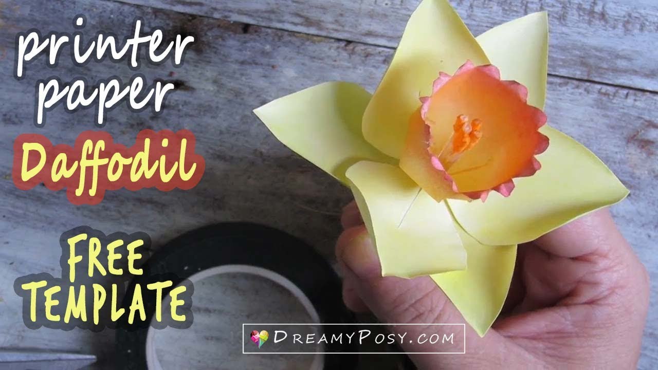 Download How To Make Paper Daffodil Flower Out Of Printer Paper Free Template