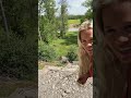 Nice Neighbor