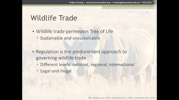 Hubert Cheung @ ICCB 2021: Demand-side voices in the illegal wildlife trade