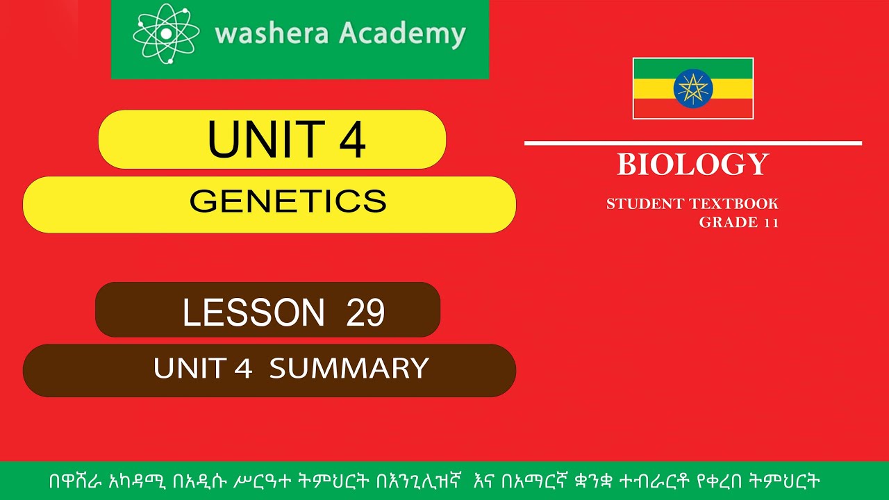 BIOLOGY GRADE 11 UNIT 4 LESSON 29 UNIT 4 SUMMARY - YouTube