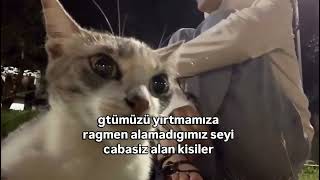 Bazı Şeyler Kısmetin Ötesindedir
