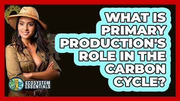 What Is Primary Production