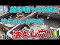 越冬明けの水換え、やらかしがちな落とし穴！【失敗例と正しい水換え方法】＃１８８ ～美心めだか～