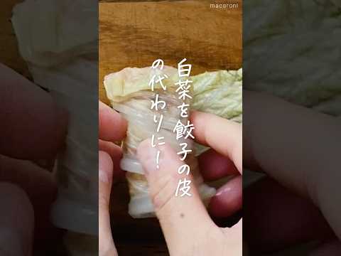 【皮いらず】白菜しゅうまい！ #白菜レシピ #しゅうまい #レンジ