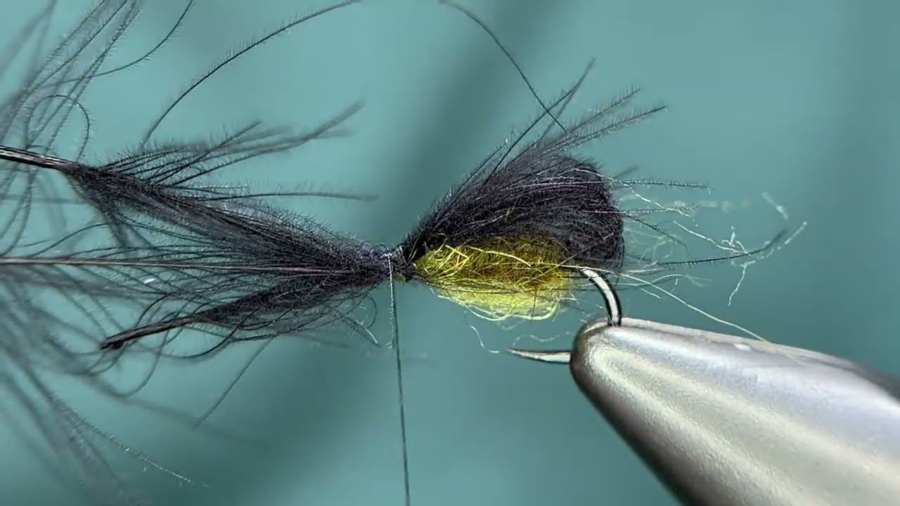 Larry's Bubble Pupa 4K - YouTube