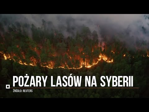 Wideo: Jak Powstrzymać Pożary Lasów Na Syberii