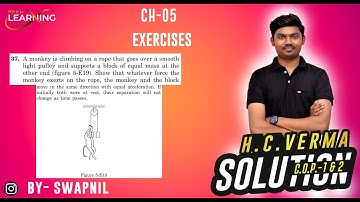 A monkey is climbing on a rope that goes over a smooth light pulley and supports a block of equal m