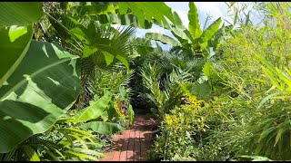 NY Tropical Garden Tour Fall 2023 Part 1