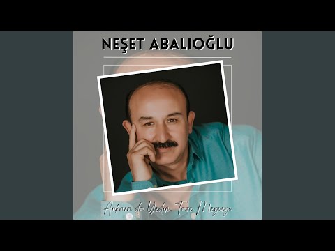 Ankara da Yedim