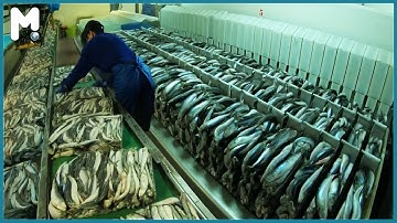Amazing Big Net Fishing & Trawler Operation | Frozen Fishing Boat Factory Processing at Sea