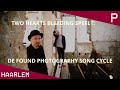 Two hearts bleeding speelt de found photography song cycle  pletterij haarlem concert