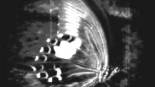 Philip Glass   Dead Things‏