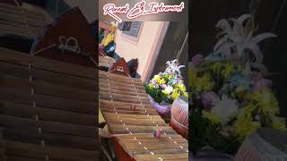 Nice Roneat Ek Player