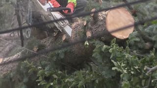 Microburst takes out power poles, trees in Littleton