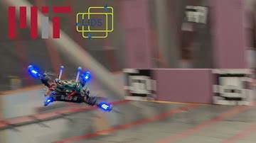 Multi-Fidelity Black-Box Optimization for Time-Optimal Quadrotor Maneuvers