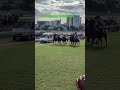 Horse Racing #trending #horse #horseriding #travel #mauritius #sports #sport #mtcjc